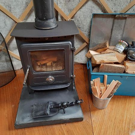 Llandysul Ceridwen Glamping, Double Decker Bus And Yurts酒店 外观 照片